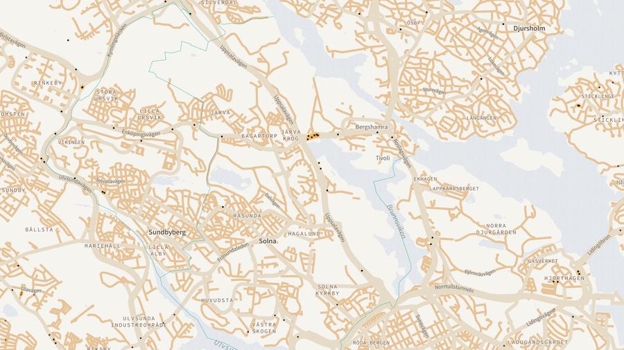 Viltolyckornas fördelning i Solna kommun