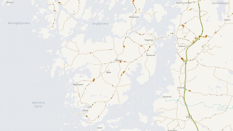 Viltolyckornas fördelning i Tjörns kommun