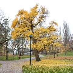 Så var senaste månadens väder i Båstads kommun