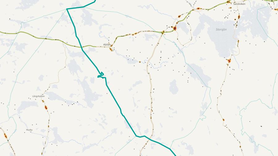 Viltolyckornas fördelning i Hofors kommun