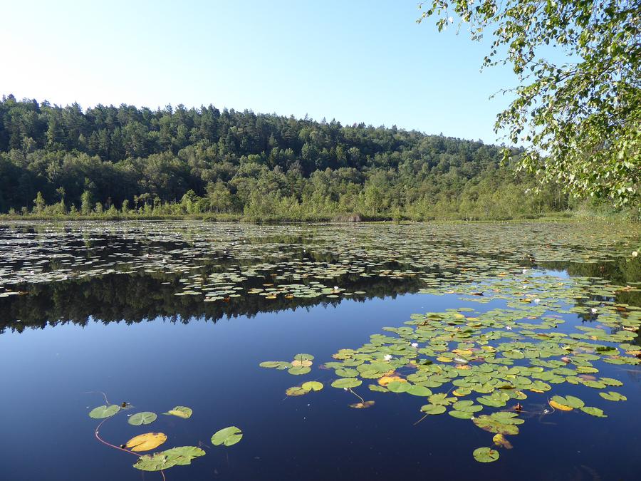 Så var senaste månadens väder i Karlskrona kommun
