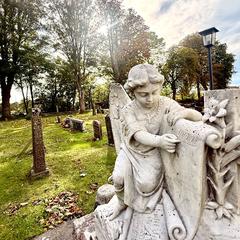 Gravar på kyrkogård