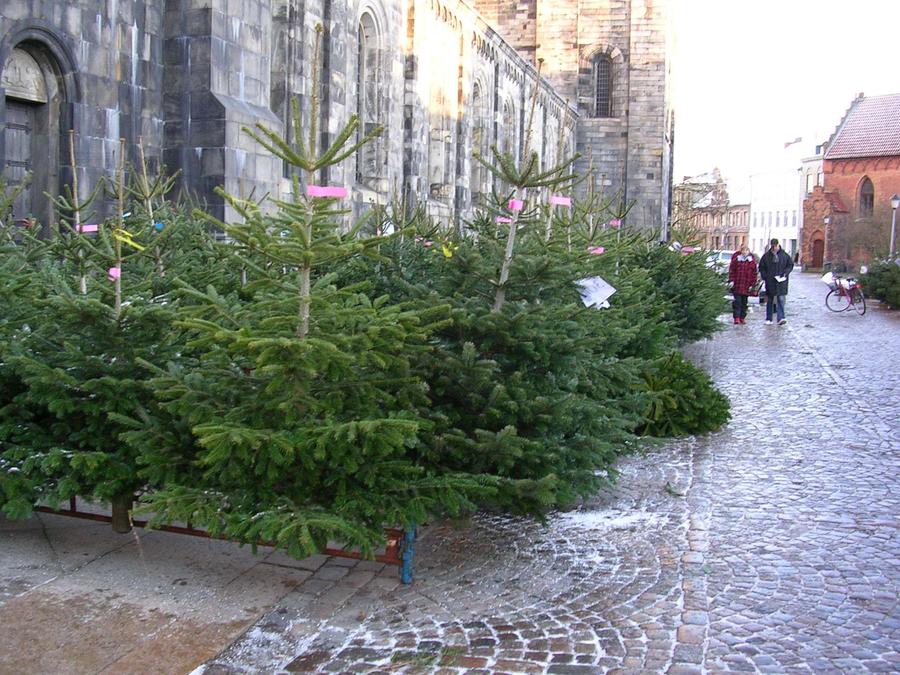 Julgransförsäljning på gatan