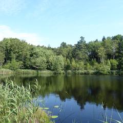 En varm vecka i Sundsvalls kommun