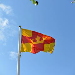 Svenska kyrkans flagga