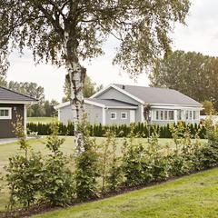 Villaområde i sommargrönska
