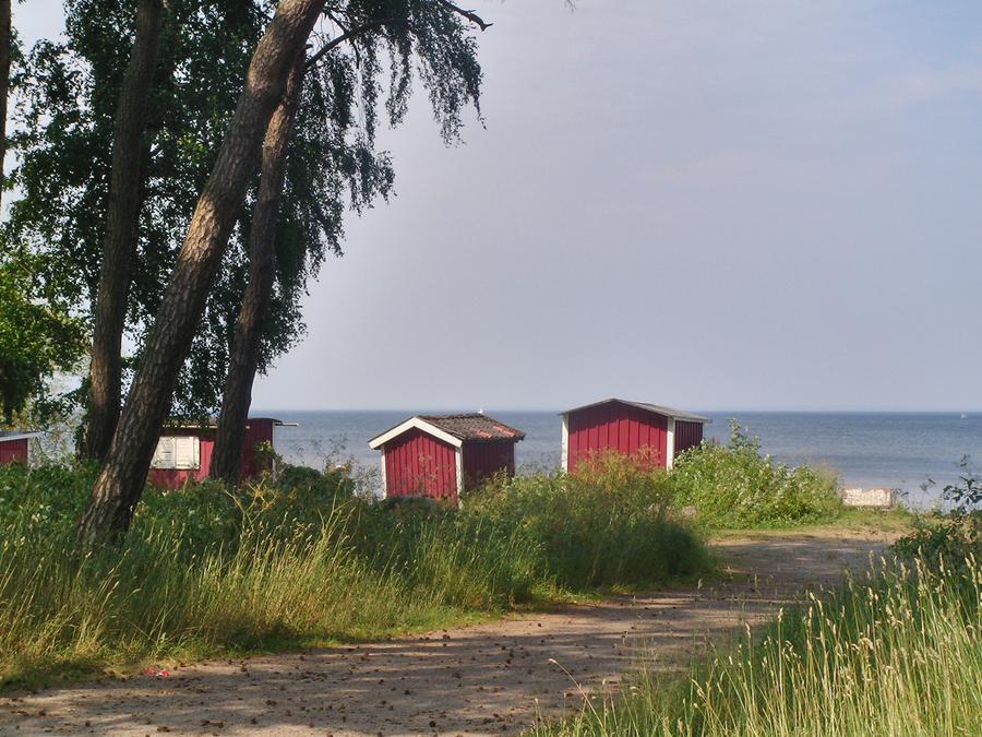 Ny rapport:  Så ser bokningstrycket ut på Airbnb-marknaden i Gävleborg inför sommaren