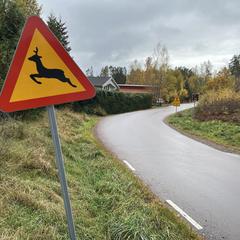 Varning för hjortdjur
