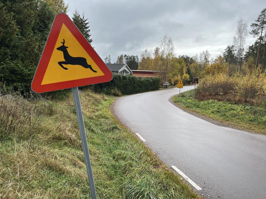 Varning för hjortdjur